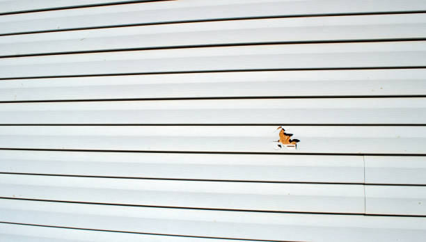 Affordable siding repair and maintenance services in Morrow, GA
